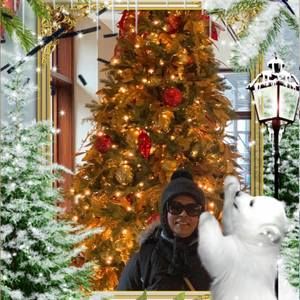 Meet your Posher, Sherry